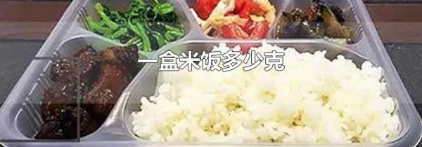 一盒米饭多少克