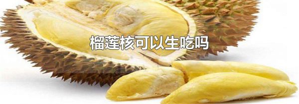 榴莲核可以生吃吗