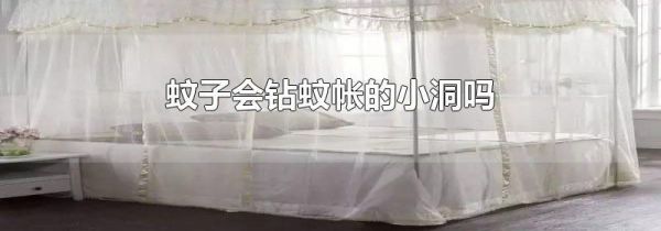 蚊子会钻蚊帐的小洞吗