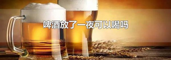 啤酒放了一夜可以喝吗