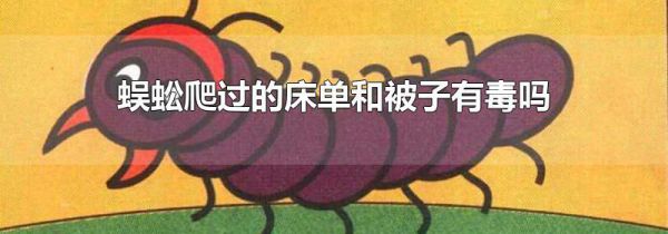 蜈蚣爬过的床单和被子有毒吗