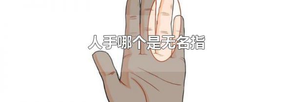 人手哪个是无名指