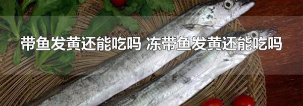 带鱼发黄还能吃吗 冻带鱼发黄还能吃吗