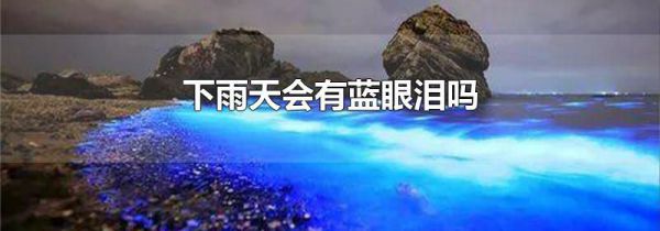 下雨天会有蓝眼泪吗