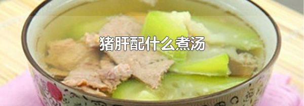 猪肝配什么煮汤