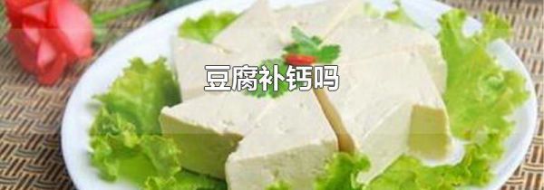 豆腐补钙吗