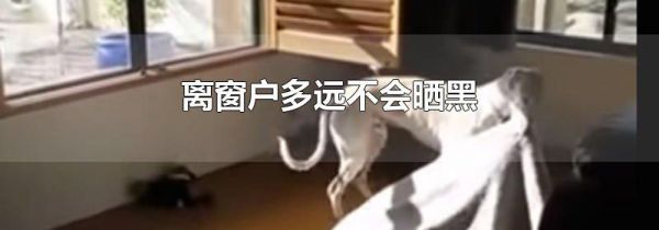 离窗户多远不会晒黑