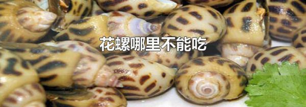 花螺哪里不能吃