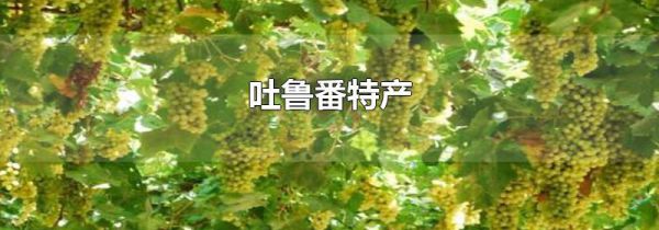 吐鲁番特产