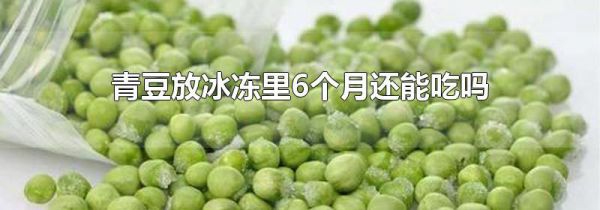 青豆放冰冻里6个月还能吃吗