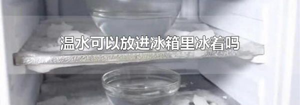 温水可以放进冰箱里冰着吗