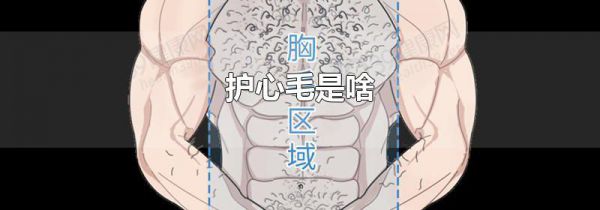 护心毛是啥