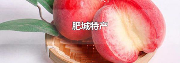肥城特产