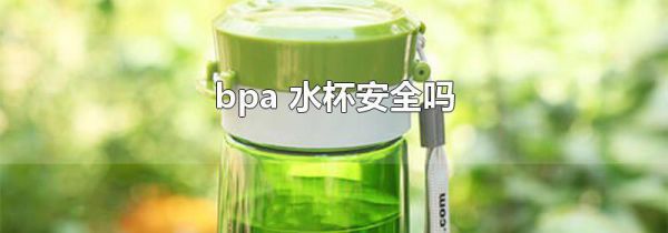bpa 水杯安全吗