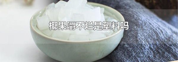 椰果嚼不烂是塑料吗
