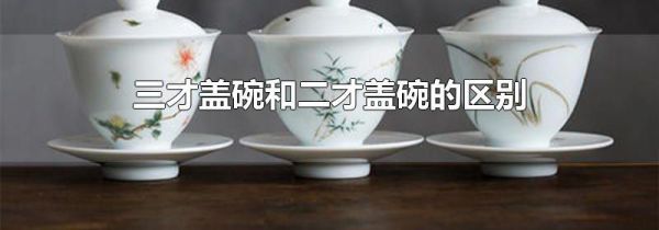 三才盖碗和二才盖碗的区别