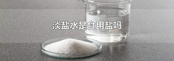 淡盐水是食用盐吗