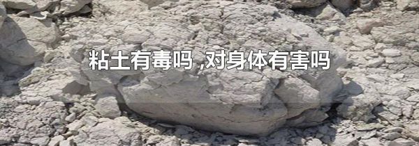 粘土有毒吗 ,对身体有害吗