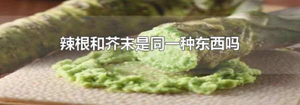 辣根和芥末是同一种东西吗
