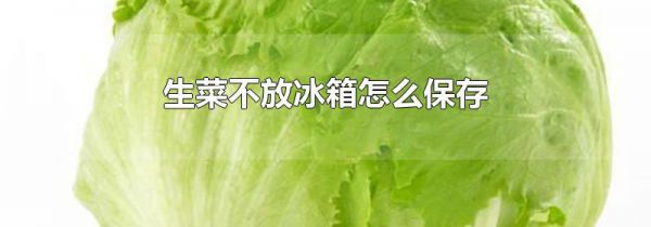 生菜不放冰箱怎么保存