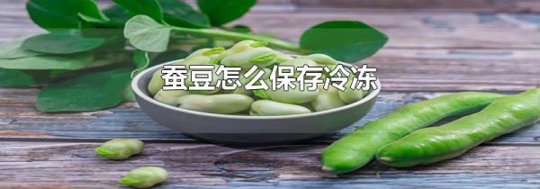蚕豆怎么保存冷冻