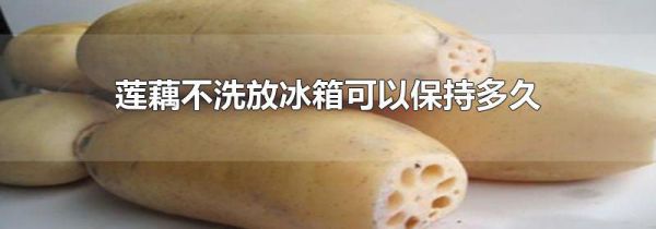 莲藕不洗放冰箱可以保持多久