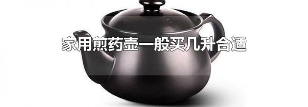家用煎药壶一般买几升合适