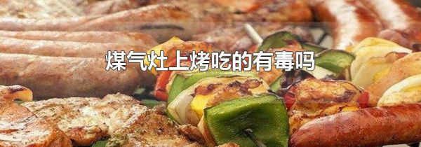 煤气灶上烤吃的有毒吗