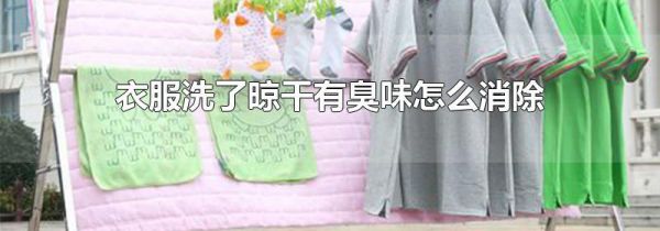 衣服洗了晾干有臭味怎么消除