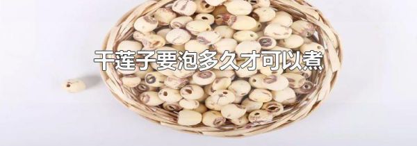 干莲子要泡多久才可以煮