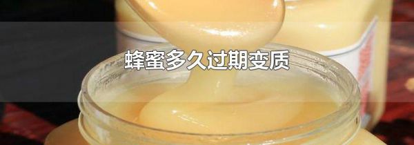 蜂蜜多久过期变质