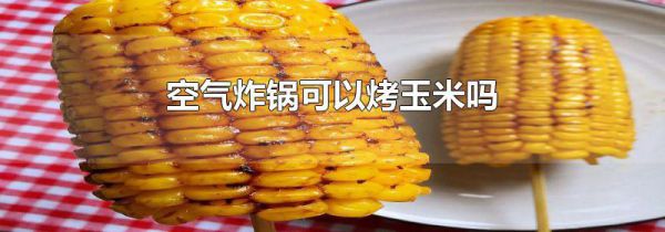 空气炸锅可以烤玉米吗