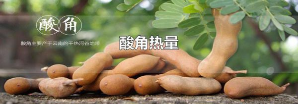 酸角热量