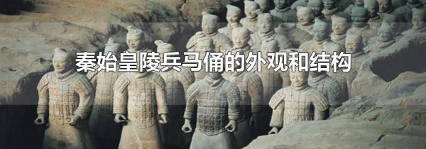 秦始皇陵兵马俑的外观和结构