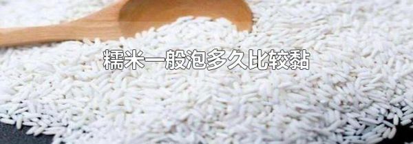 糯米一般泡多久比较黏