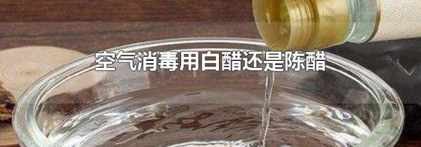 空气消毒用白醋还是陈醋