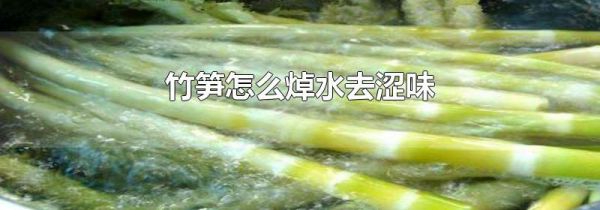 竹笋怎么焯水去涩味