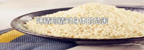 味精鸡精对身体的危害