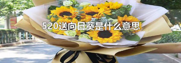 520送向日葵是什么意思