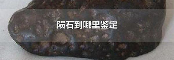 陨石到哪里鉴定