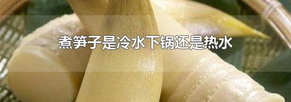 煮笋子是冷水下锅还是热水