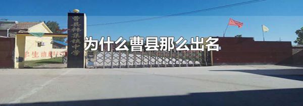 为什么曹县那么出名
