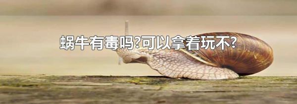 蜗牛有毒吗?可以拿着玩不?