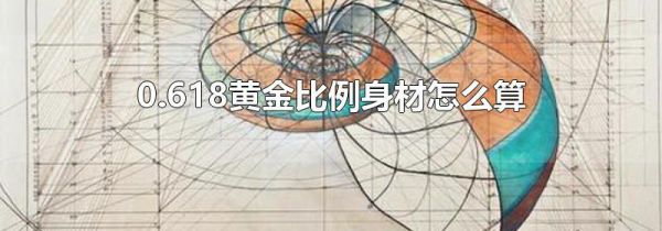 0.618黄金比例身材怎么算