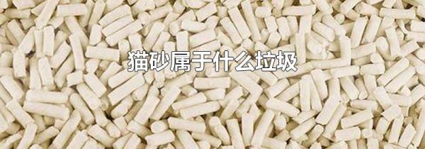 猫砂属于什么垃圾