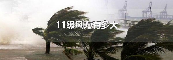 11级风力有多大