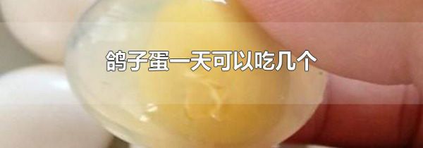 鸽子蛋一天可以吃几个