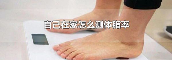 自己在家怎么测体脂率