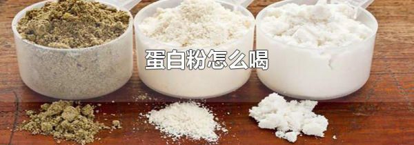 蛋白粉怎么喝