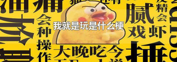 我就是玩是什么梗